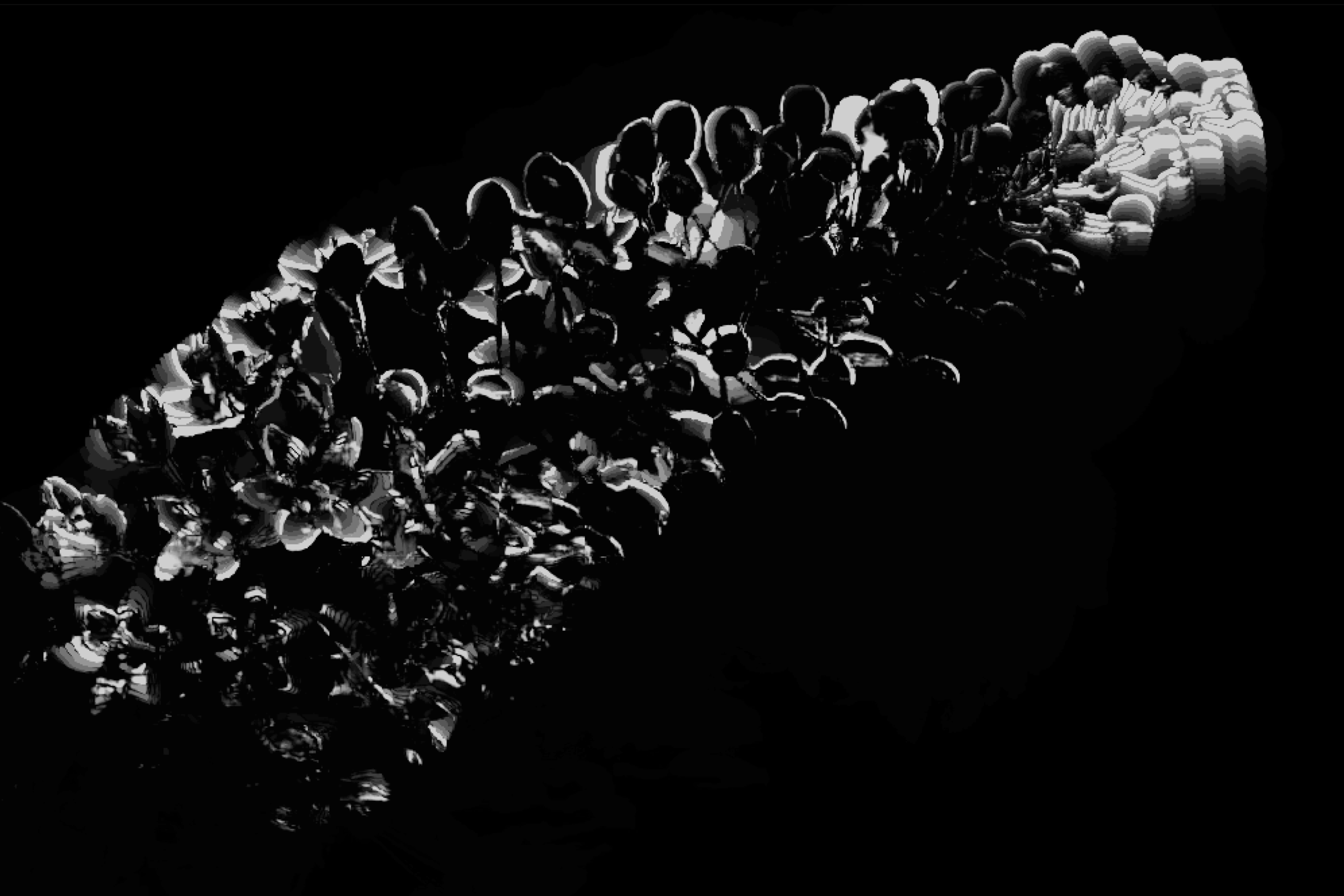 Black and white motion map